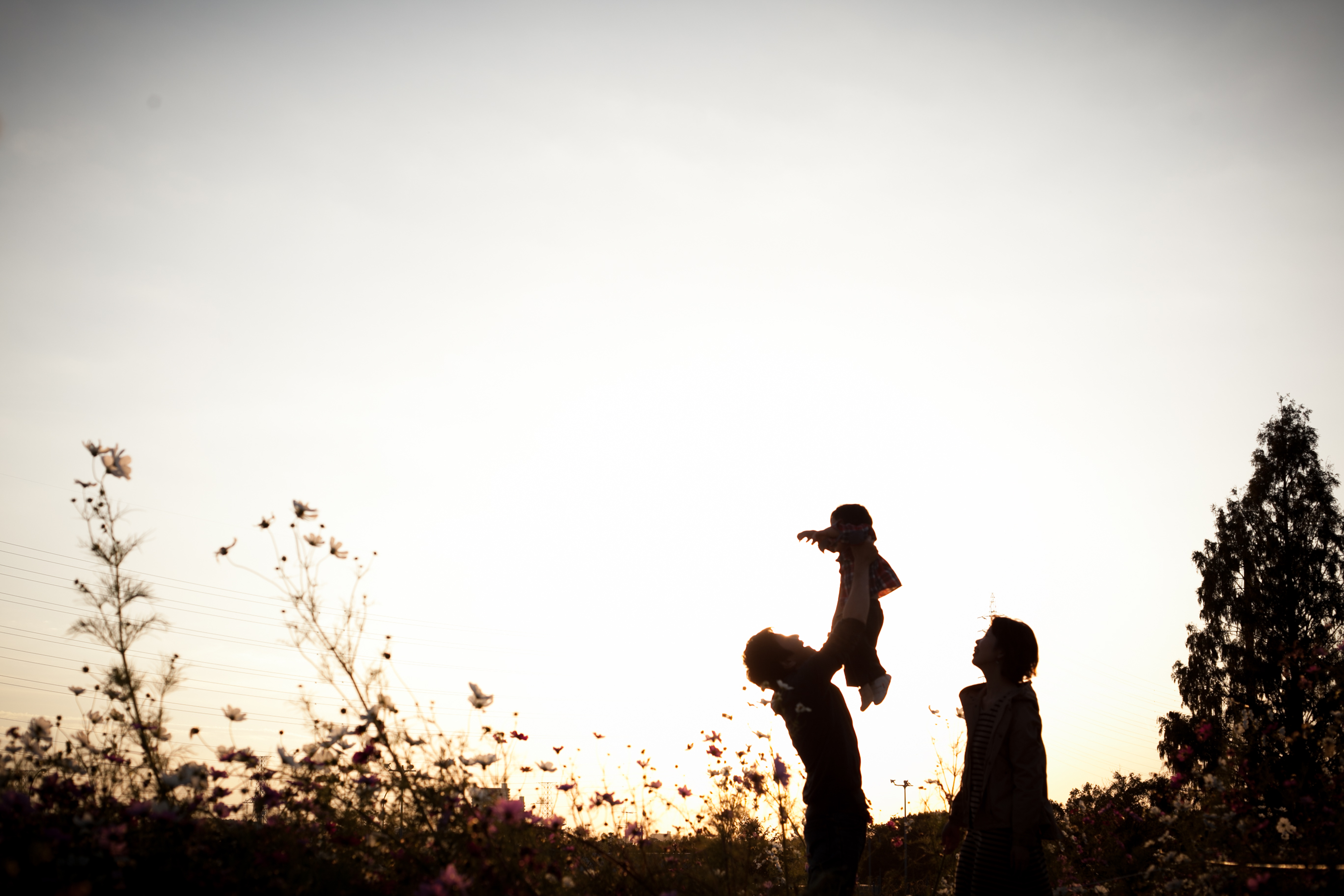 HIROPHOTO スライド